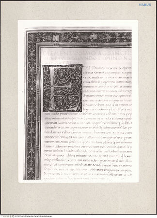 Vorderseite von bh229012_recto