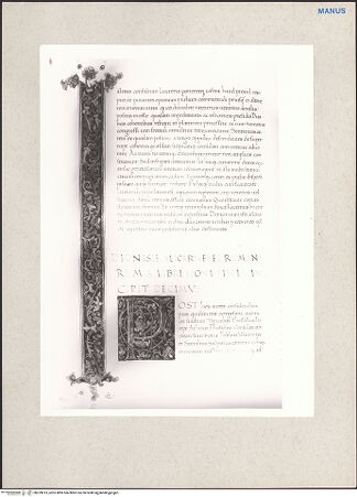 Vorderseite von bh229013_recto