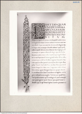 Vorderseite von bh229028_recto