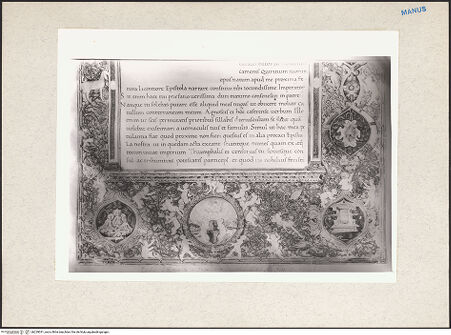 Vorderseite von bh229031_recto