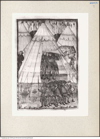 Vorderseite von bh229035_recto