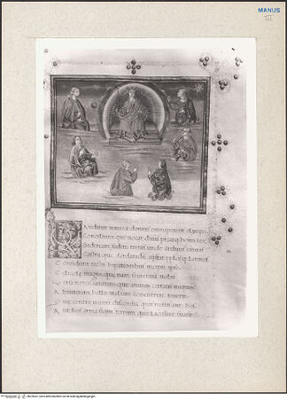 Vorderseite von bh229047_recto