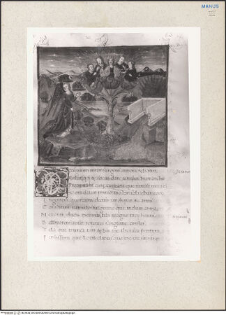 Vorderseite von bh229048_recto