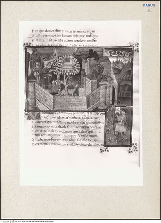 Vorderseite von bh229049_recto