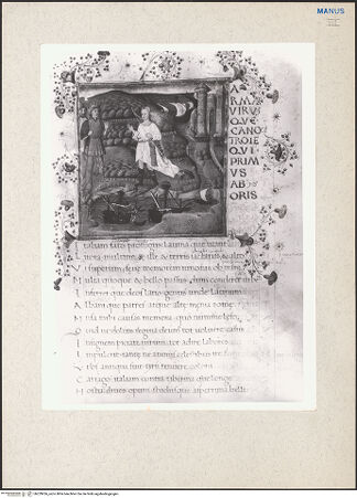 Vorderseite von bh229056_recto