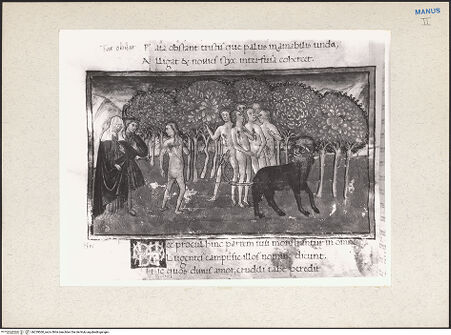 Vorderseite von bh229060_recto