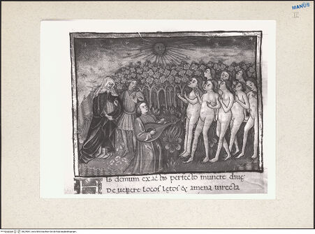 Vorderseite von bh229061_recto