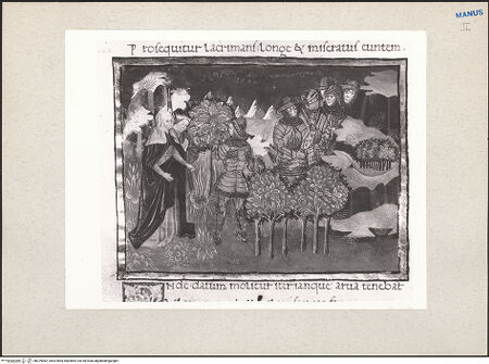 Vorderseite von bh229062_recto