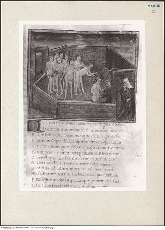 Vorderseite von bh229063_recto