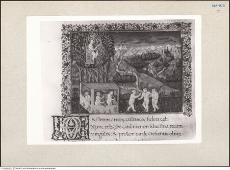 Vorderseite von bh229072_recto