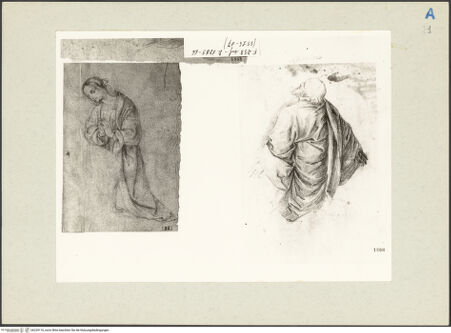 Vorderseite von bh229110_recto