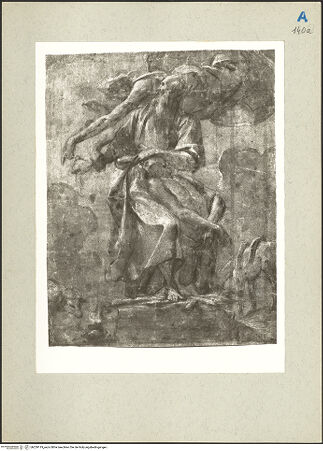 Vorderseite von bh229119_recto