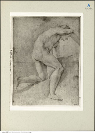 Vorderseite von bh229140_recto