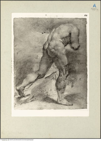 Vorderseite von bh229143_recto