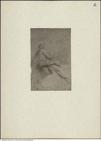 Vorderseite von bh229161_recto