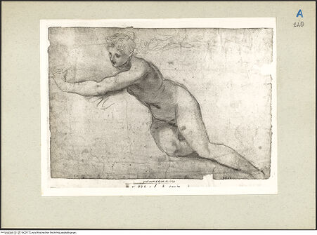 Vorderseite von bh229172_recto