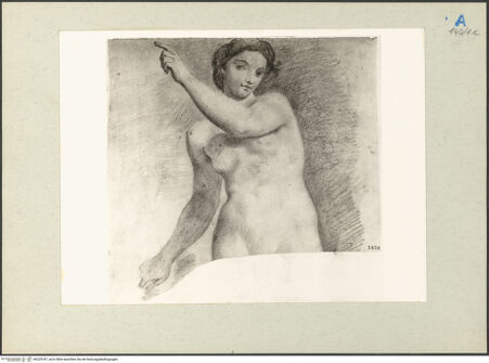 Vorderseite von bh229187_recto