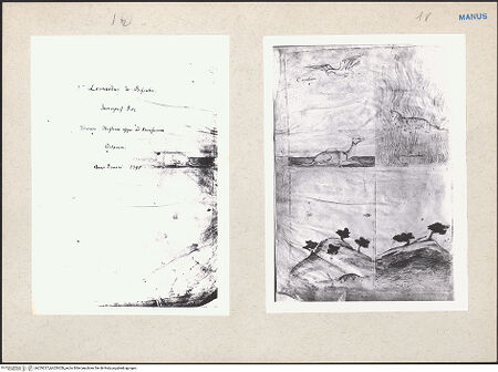 Vorderseite von bh229227_bh229228_recto