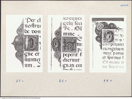 Vorderseite von bh229244_bh229245_bh229246_recto