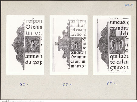 Vorderseite von bh229247_bh229248_bh229249_recto