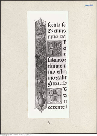 Vorderseite von bh229254_recto