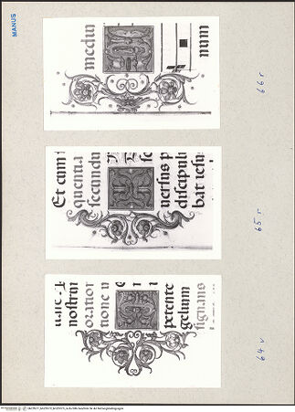 Vorderseite von bh229271_bh229272_bh229273_recto