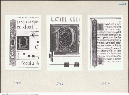 Vorderseite von bh229279_bh229280_bh229281_recto