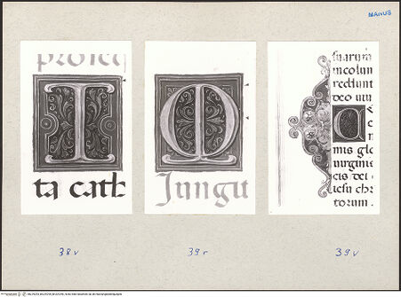 Vorderseite von bh229294_bh229295_bh229296_recto