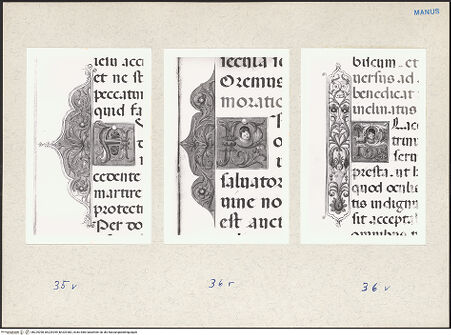 Vorderseite von bh229298_bh229299_bh229300_recto