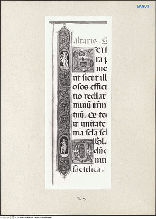 Vorderseite von bh229304_recto