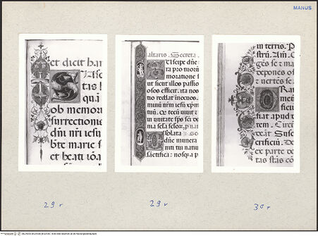 Vorderseite von bh229305_bh229306_bh229307_recto