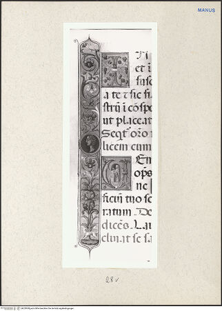 Vorderseite von bh229308_recto