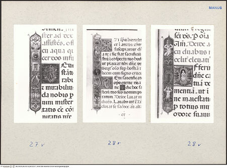 Vorderseite von bh229309_bh229310_bh229311_recto