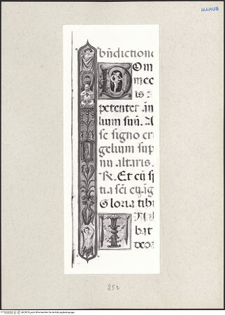 Vorderseite von bh229315_recto