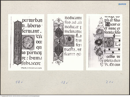 Vorderseite von bh229321_bh229322_bh229323_recto