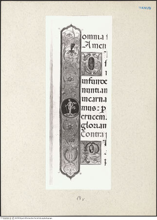 Vorderseite von bh229324_recto