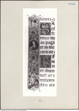 Vorderseite von bh229341_recto