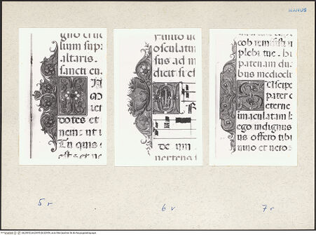 Vorderseite von bh229352_bh229353_bh229354_recto