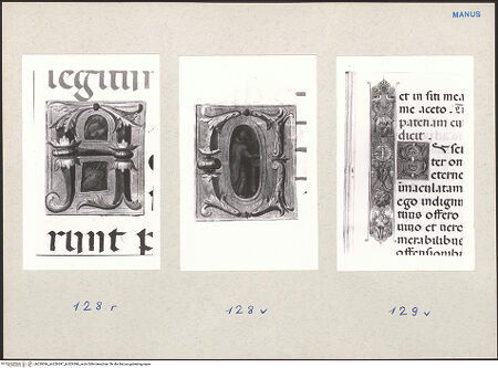 Vorderseite von bh229396_bh229397_bh229398_recto