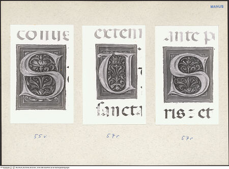Vorderseite von bh229439_bh229450_bh229451_recto