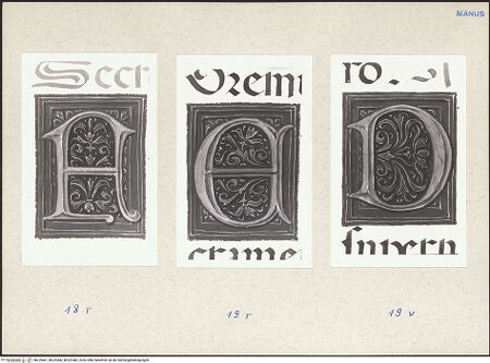 Vorderseite von bh229481_bh229482_bh229483_recto