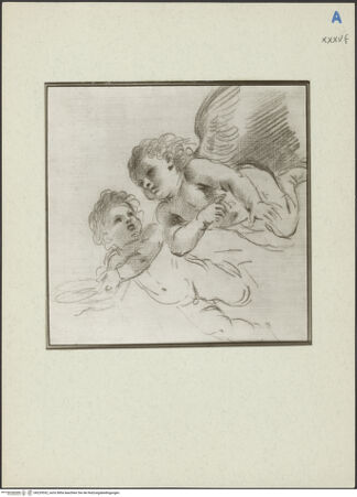 Vorderseite von bh229532_recto