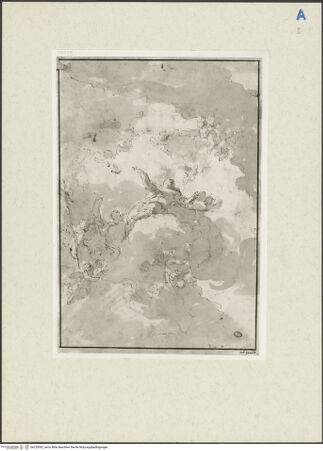 Vorderseite von bh229552_recto