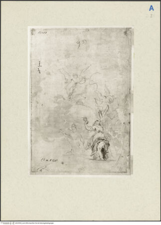 Vorderseite von bh229553_recto