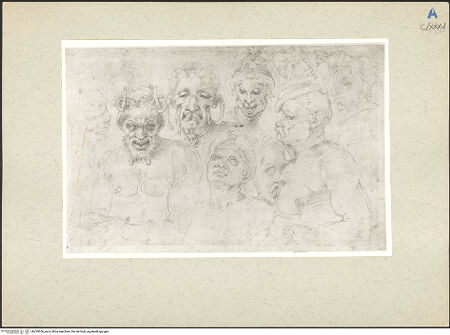 Vorderseite von bh229556_recto