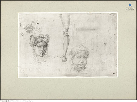 Vorderseite von bh229557_recto