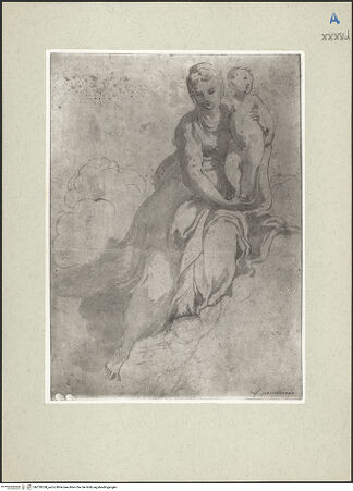 Vorderseite von bh229558_recto