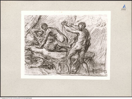 Vorderseite von bh229581_recto