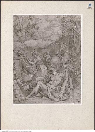 Vorderseite von bh229584_recto