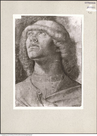 Vorderseite von bh229586_recto